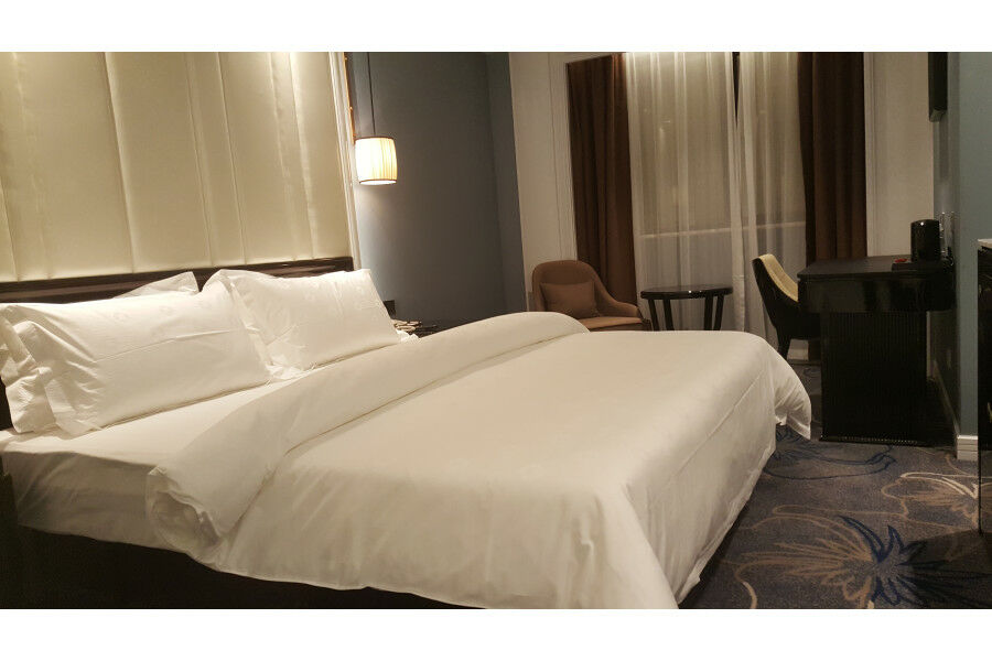 Jinjiang Metropolo Nanjing Confucius Temple Center Hotel المظهر الخارجي الصورة